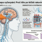 Mozková mlha a drtivá únava: Co vám o životě po chemoterapii nikdo neřekl